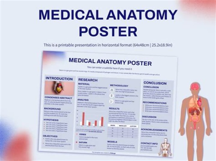 What is medical anatomy