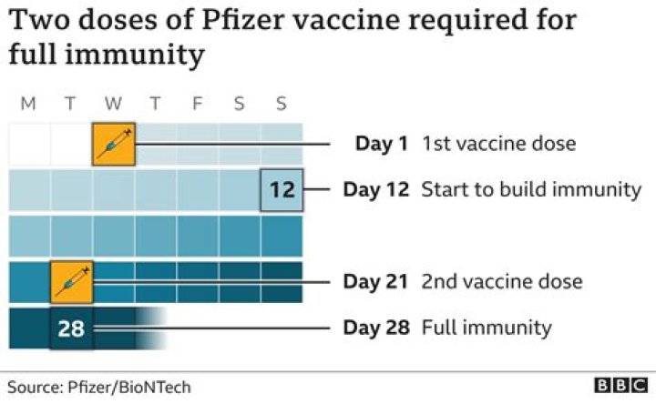 What is menitorix vaccine