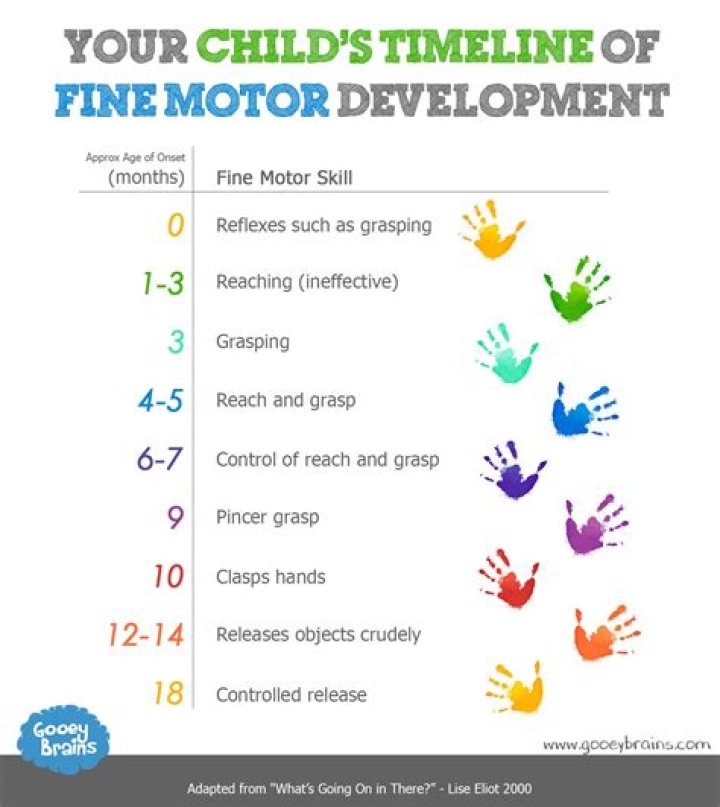 What is motor development in early childhood