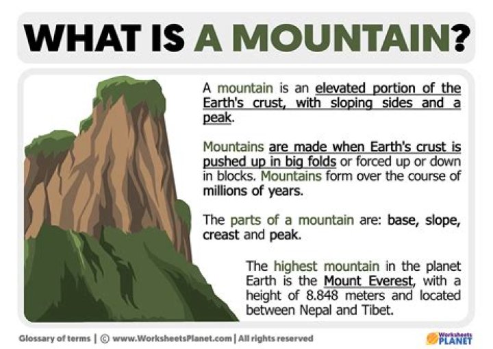 What is Mountain Ash called