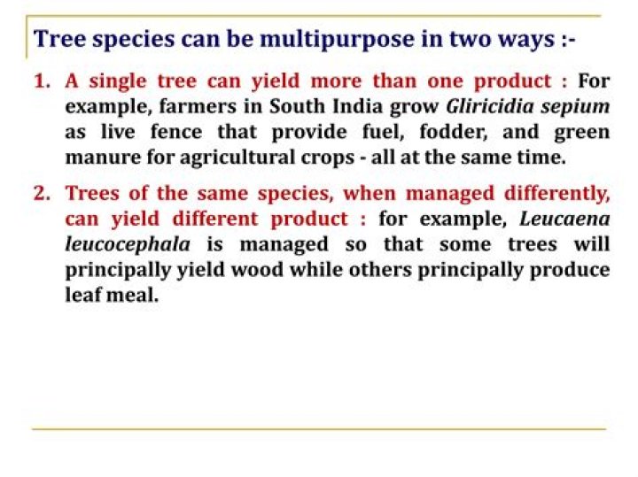 What is multipurpose tree species
