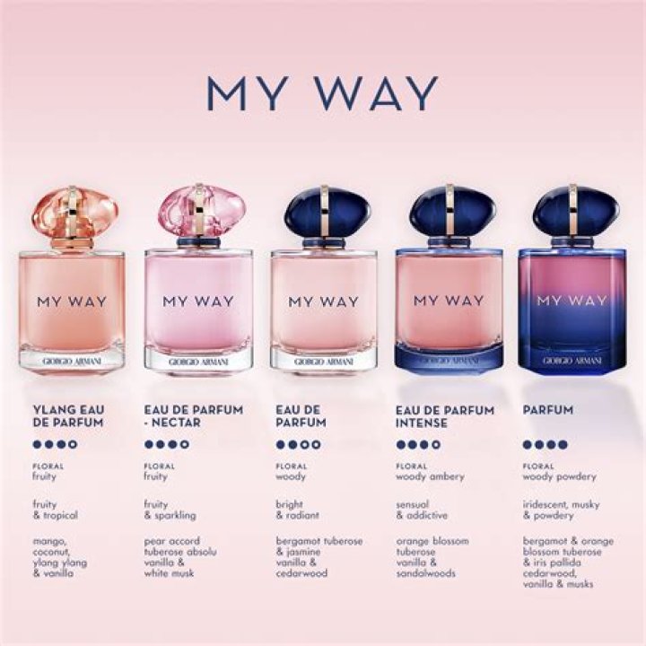 What is myway search