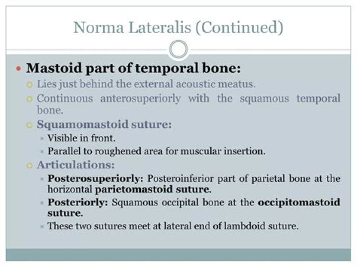 What is Norma lateralis