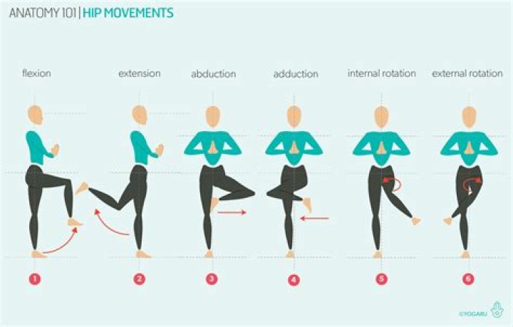 What is normal hip flexion range of motion