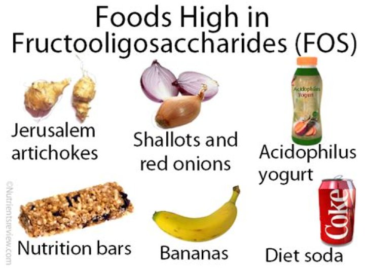 What is oligofructose made from