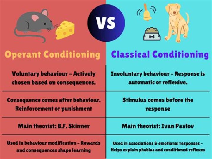 What is operant conditioning and classical conditioning