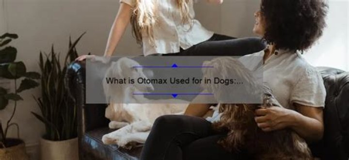 What is Otomax used for