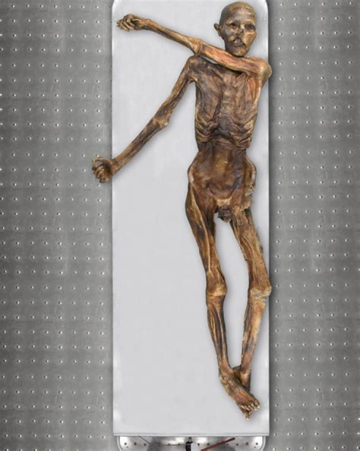 What is Otzi known for