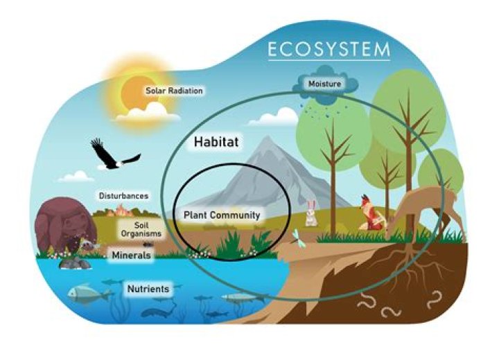 What is our ecosystem