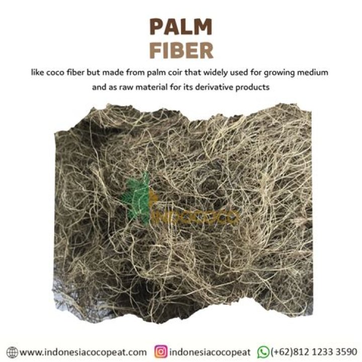 What is Palm Fibre called