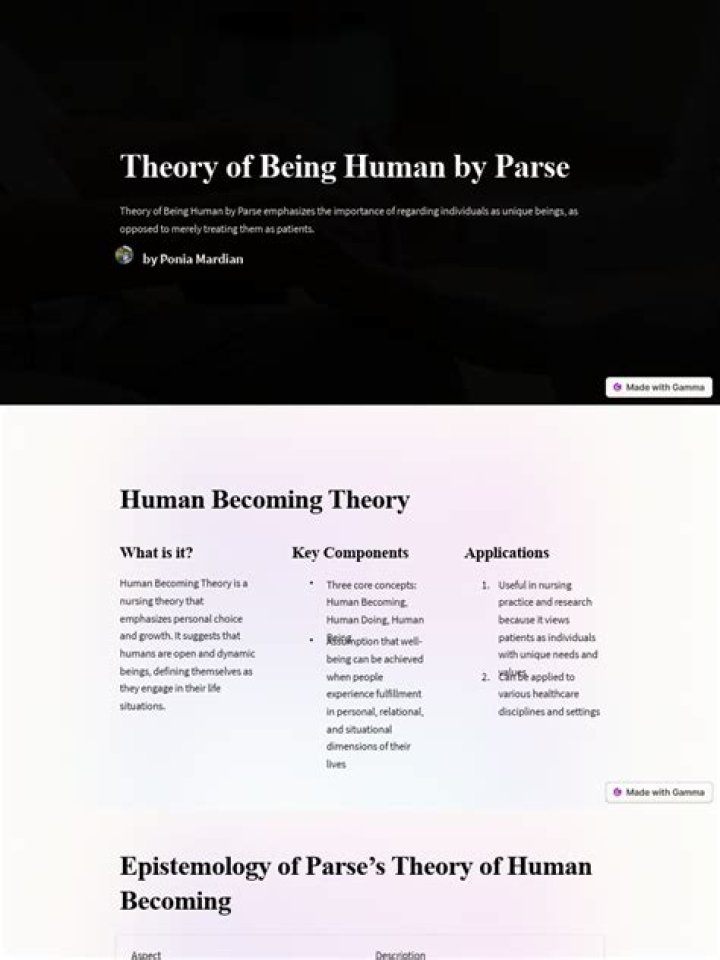 What is Parses theory