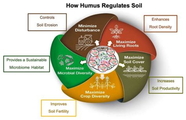 What is peat humus