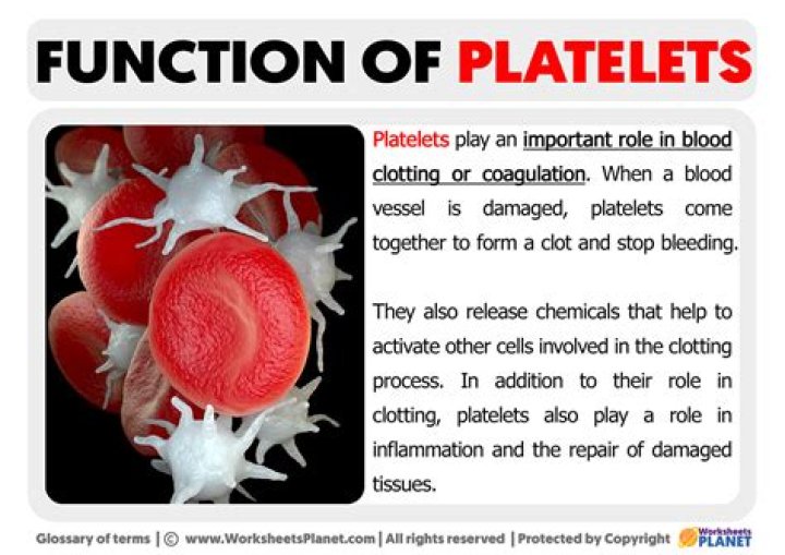 What is platelets in human body