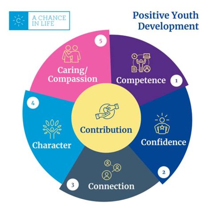 What is positive youth development theory