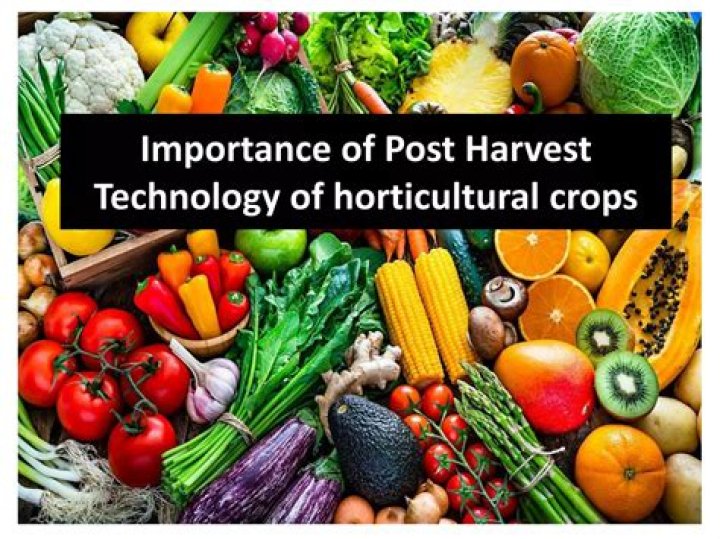 What is Post Harvest Technology Definition