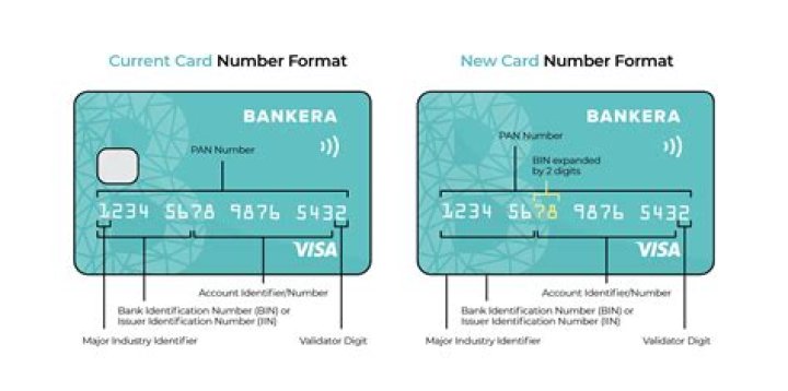 What is primary card number in credit card
