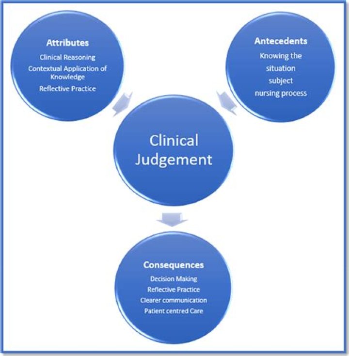 What is professional nursing Judgement