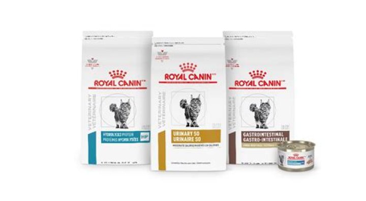 What is renal support cat food