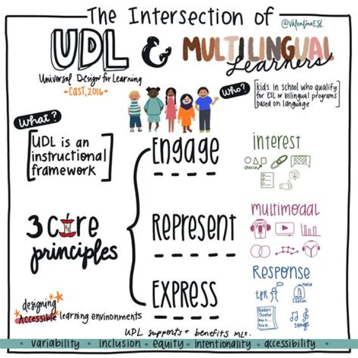 What is representation in UDL