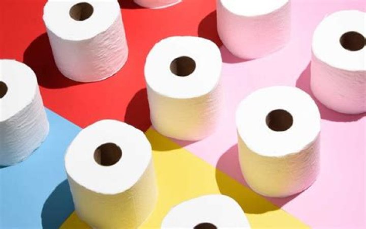 What is reusable toilet paper