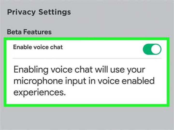 What is S Voice on my phone