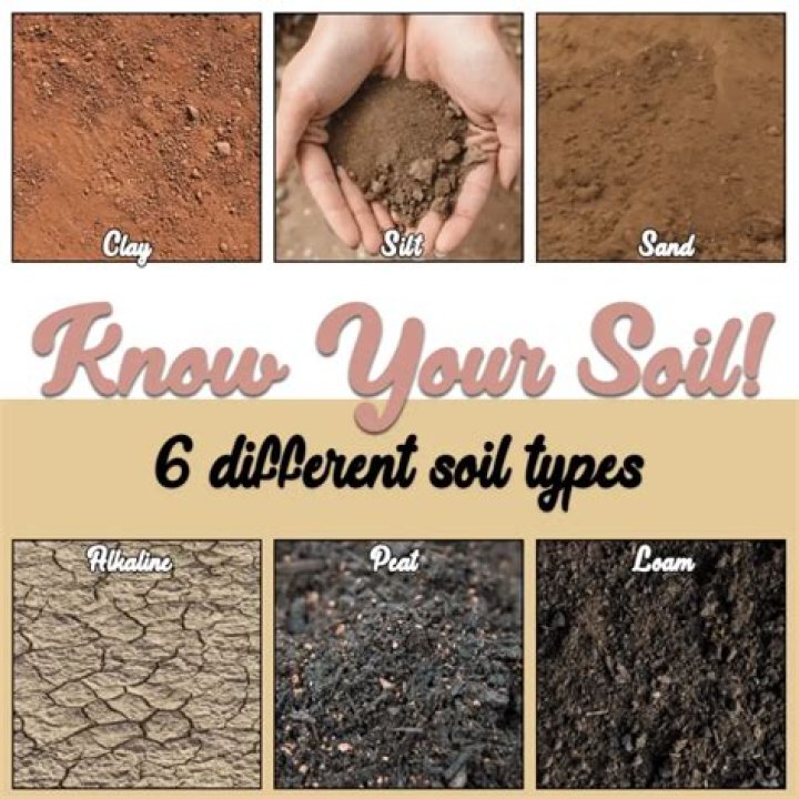 What is sandy soil good for
