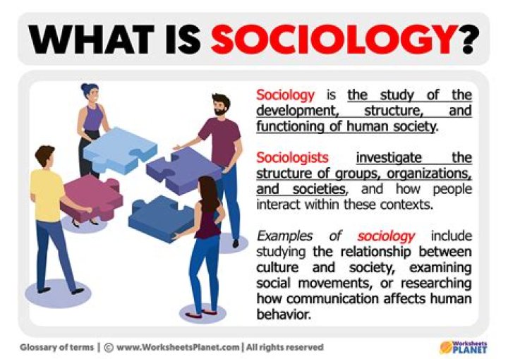 What is scientific study in sociology