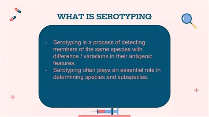 What is serotyping used for