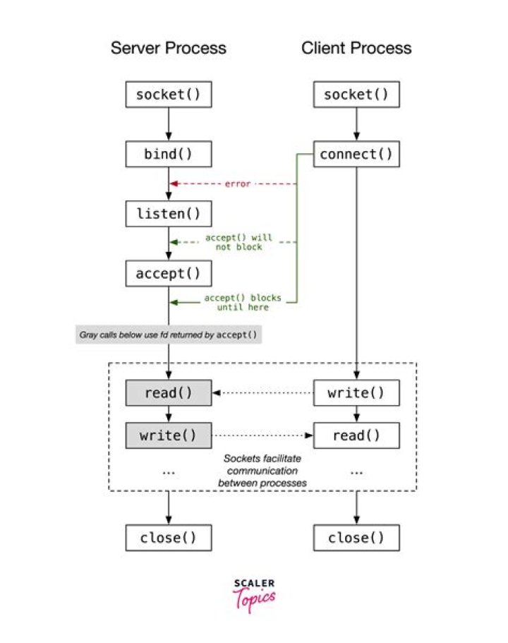 What is socket programming in C
