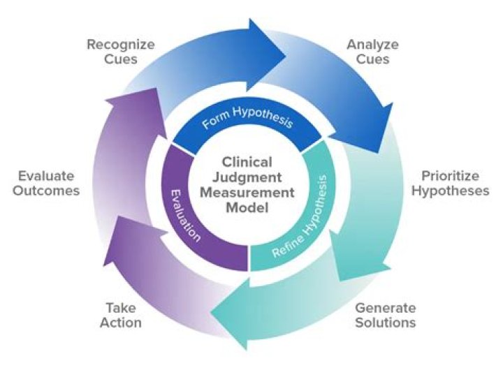What is Tanners model of clinical Judgement