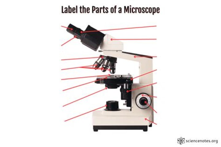 What is the 14 parts of microscope