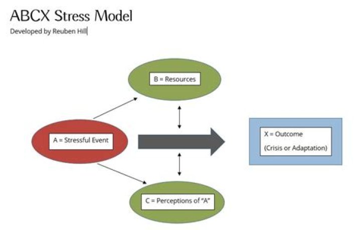 What is the ABCX model