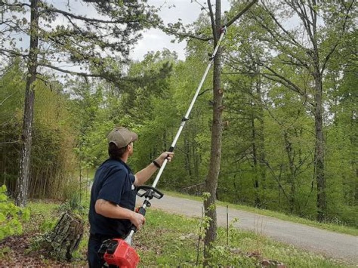 What is the best commercial pole saw