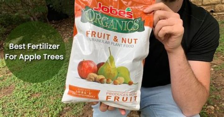What is the best fertilizer for pineapple