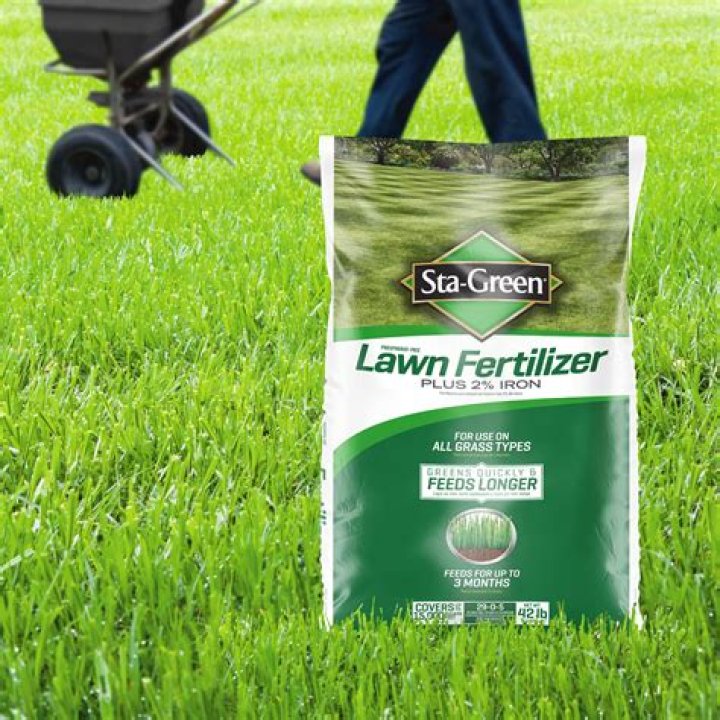 What is the best grass fertilizer for the winter