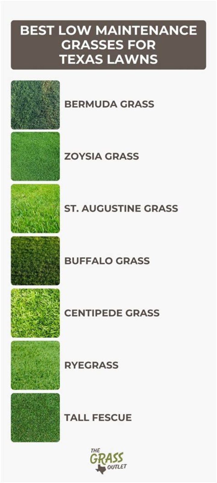 What is the best grass to grow in New Mexico