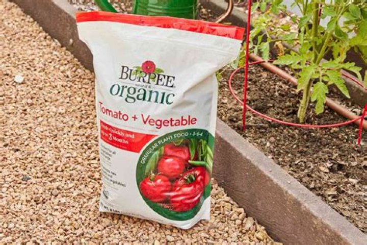What is the best manure for tomato plants