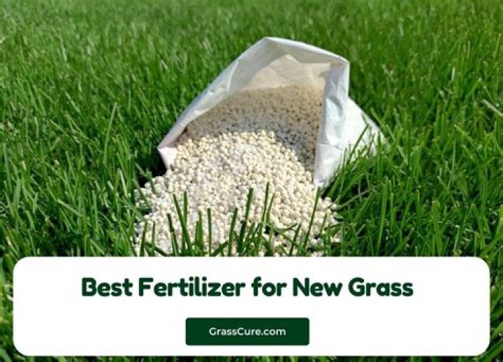 What is the best natural fertilizer for grass