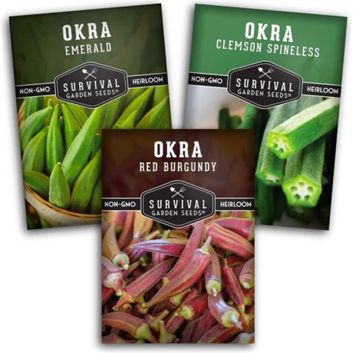 What is the best okra variety