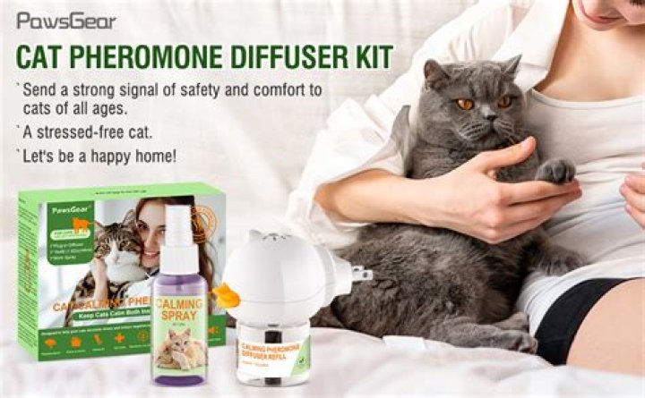 What is the best pheromone spray for cats