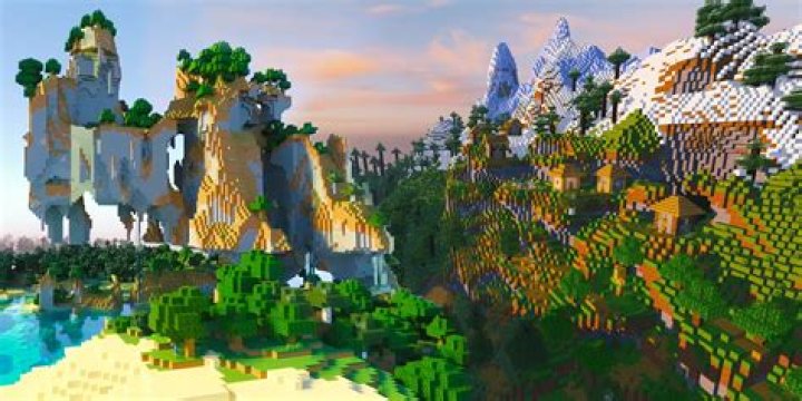 What is the best survival seed