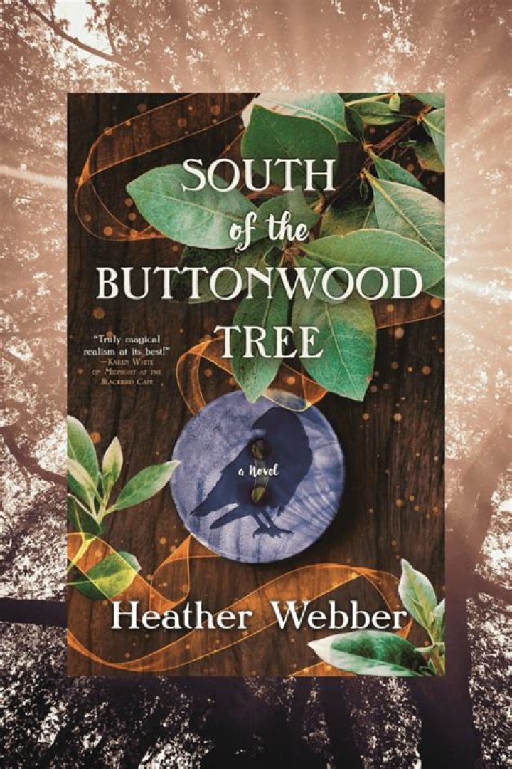 What is the Buttonwood tree