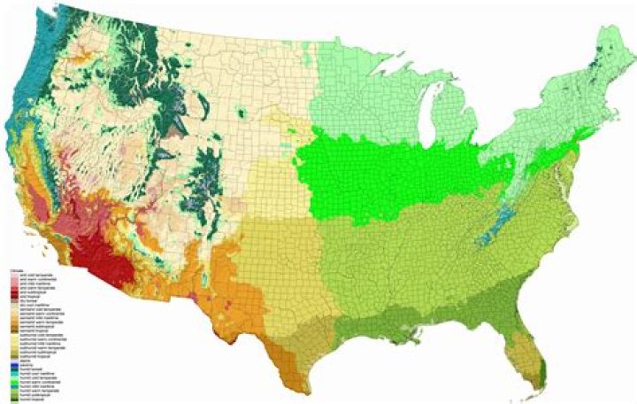 What is the climate of the western region of the United States
