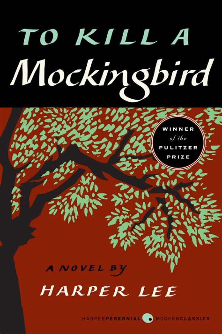 What is the climax of Chapter 11 in To Kill a Mockingbird