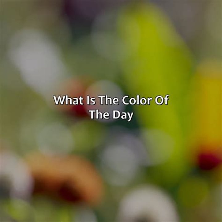 What is the color of Thanksgiving