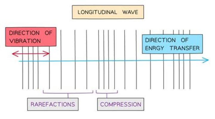 What is the crest of a longitudinal wave
