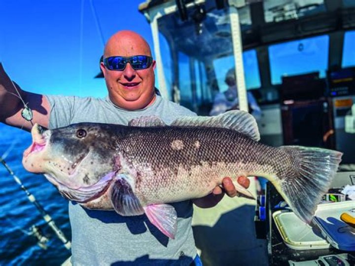 What is the difference between a single jig and a double jig
