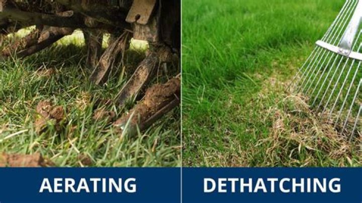 What is the difference between aeration and dethatching
