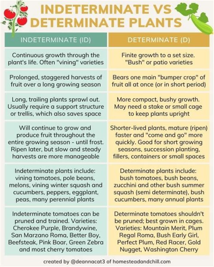 What is the difference between determinate and indeterminate