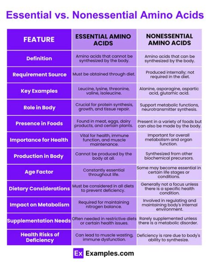 What is the difference between essential and nonessential amino acids quizlet